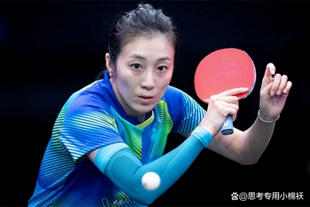 国乒遍地开花！华裔球员连夺5冠：50岁老将登顶，还有人轰出11-0(女子乒乓华裔)